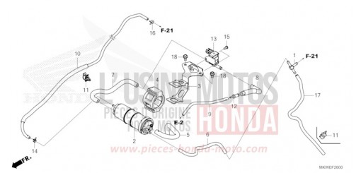CUVETTE NC750XAS de 2025
